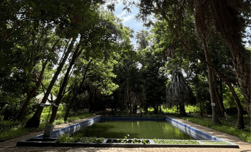 Article : Un écrin de verdure au cœur de l’université de Dakar